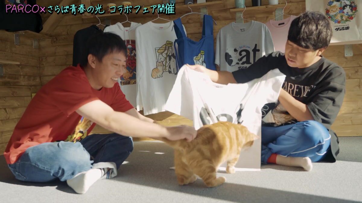 パルコとさらば青春の光が「猫の日」に再コラボ 愛猫の会長や専務と 